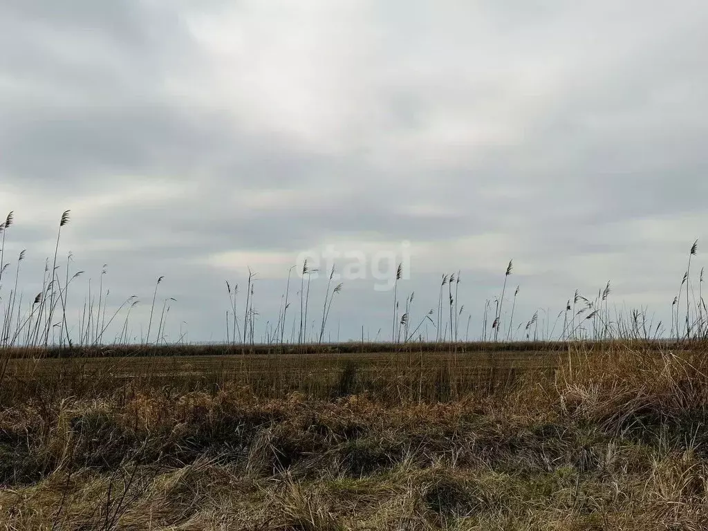 Участок в Краснодарский край, Тбилисская ст-ца ул. Октябрьская, 225 ... - Фото 1