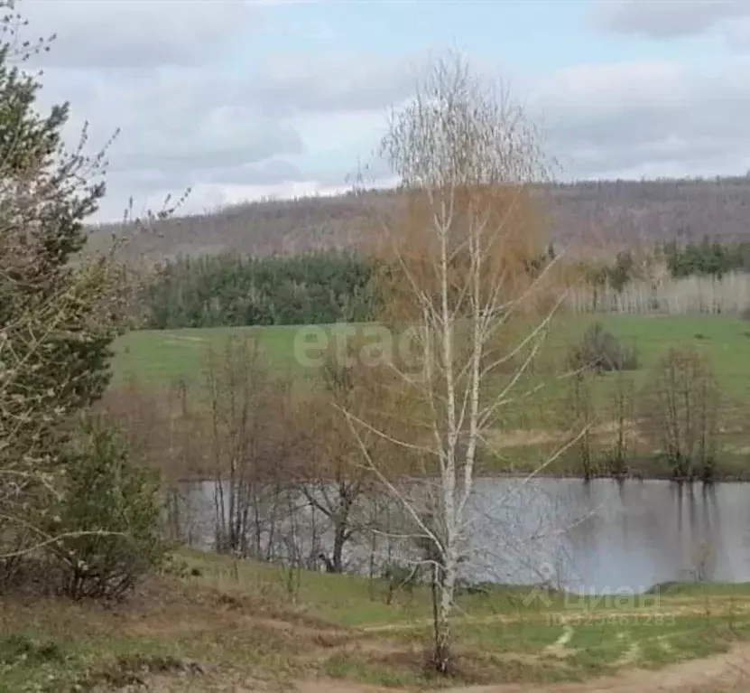 Участок в Саратовская область, Базарно-Карабулакский район, ... - Фото 1