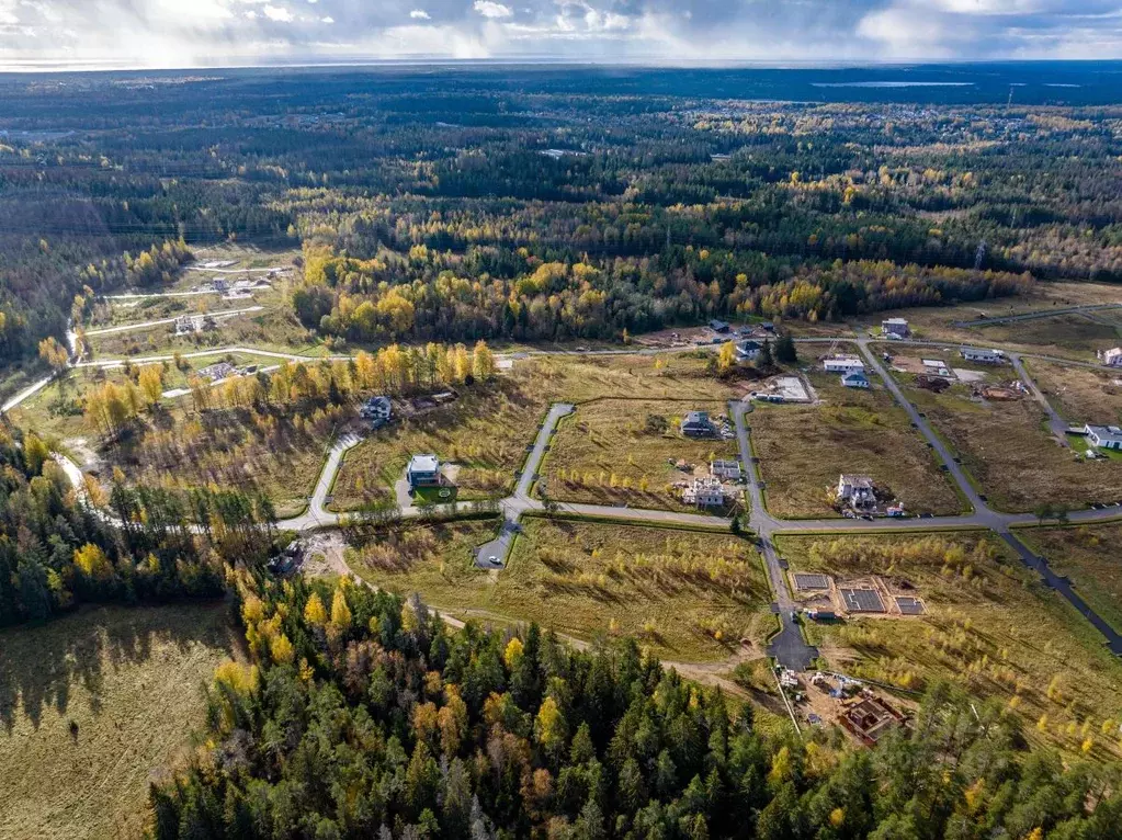 Участок в Ленинградская область, Выборгский район, Первомайское с/пос, ... - Фото 2