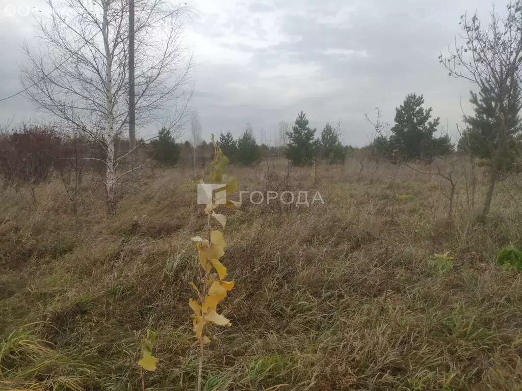 Участок в Первомайский район, посёлок Новый, Берёзовская улица (12 м) - Фото 1