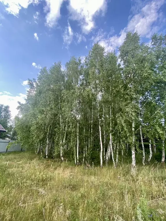 Участок 5 сот. (СНТ, ДНП) - Фото 0