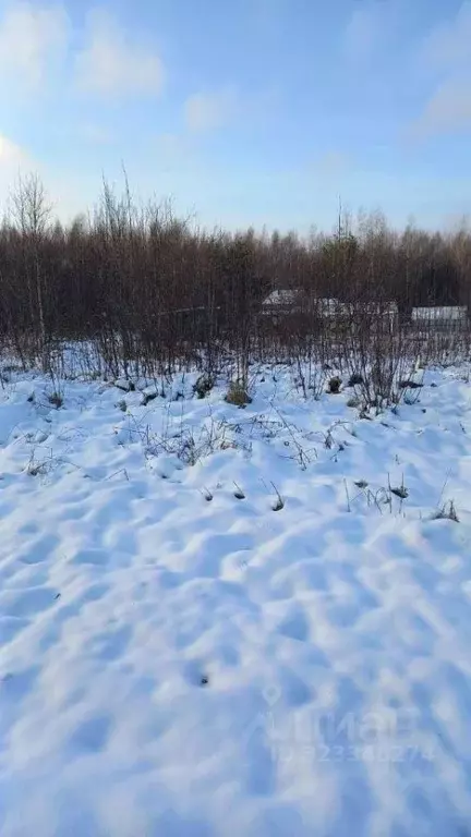 Участок в Марий Эл, Медведевский район, Куярское с/пос, Чодра СНТ  ... - Фото 0