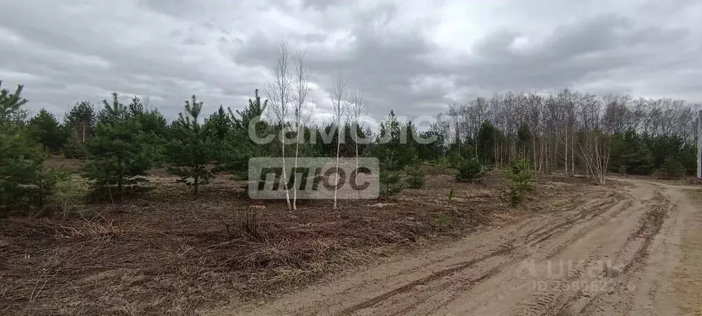 Участок в Владимирская область, Суздальский район, Боголюбовское ... - Фото 0