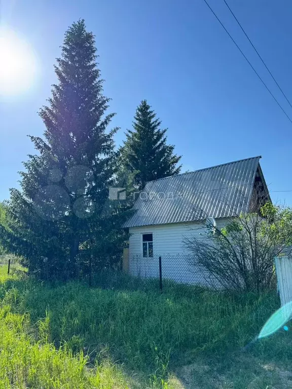 Участок 10 сот. (СНТ, ДНП) - Фото 0