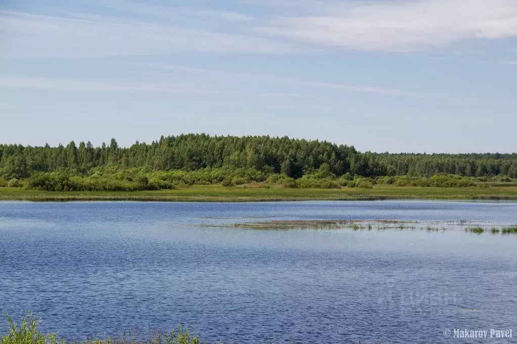 Участок в Тверская область, Оленинский район, д. Дубровка  (7.79 сот.) - Фото 0