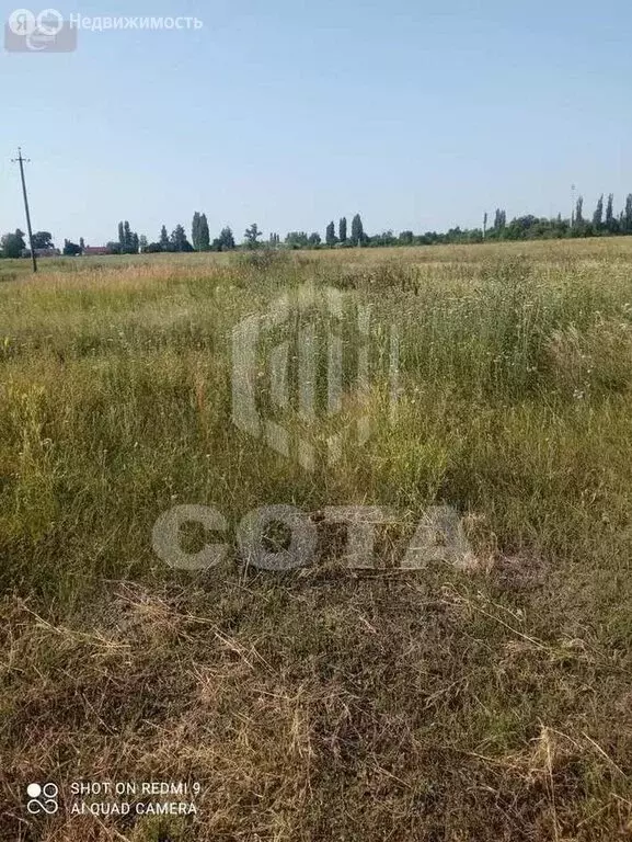 Участок в село Орлово, Больничная улица, 51 (9 м) - Фото 2