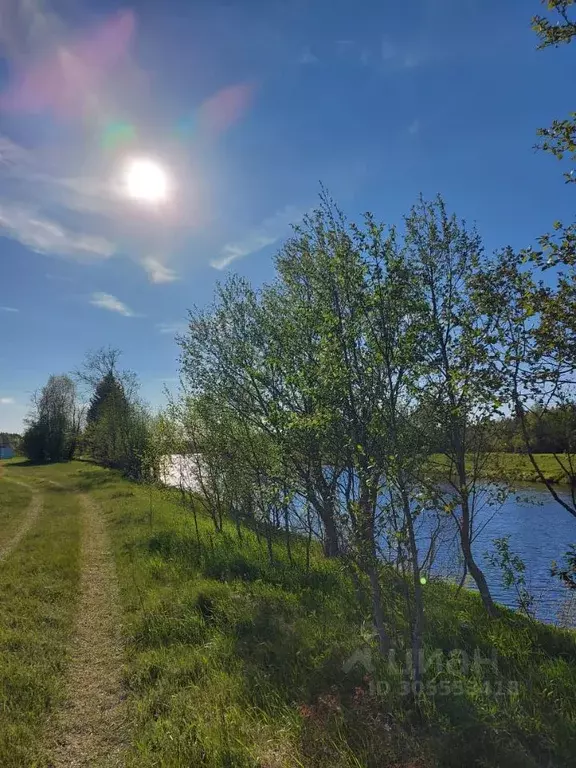 Участок в Тверская область, Кашинский городской округ, д. Верхняя ... - Фото 1