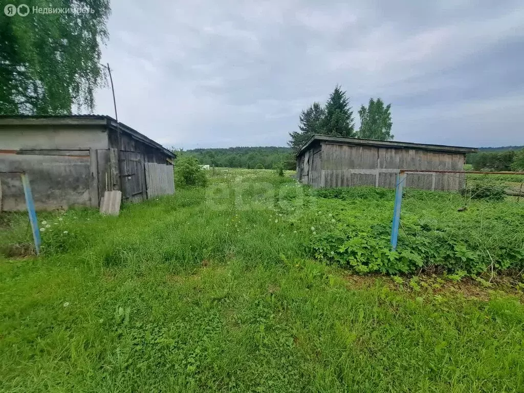 Участок в Вологодская область, Шекснинский муниципальный округ, ... - Фото 0