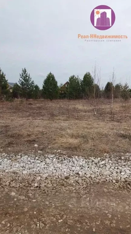 Участок в Нижегородская область, Богородский муниципальный округ, д. ... - Фото 0
