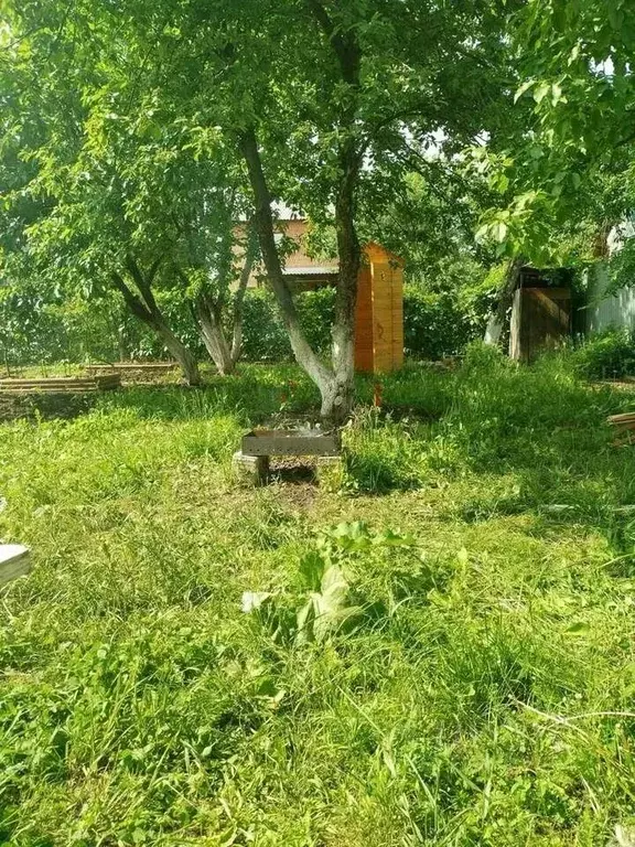 Дом в Челябинская область, Сосновский муниципальный округ, Петушок СНТ ... - Фото 2