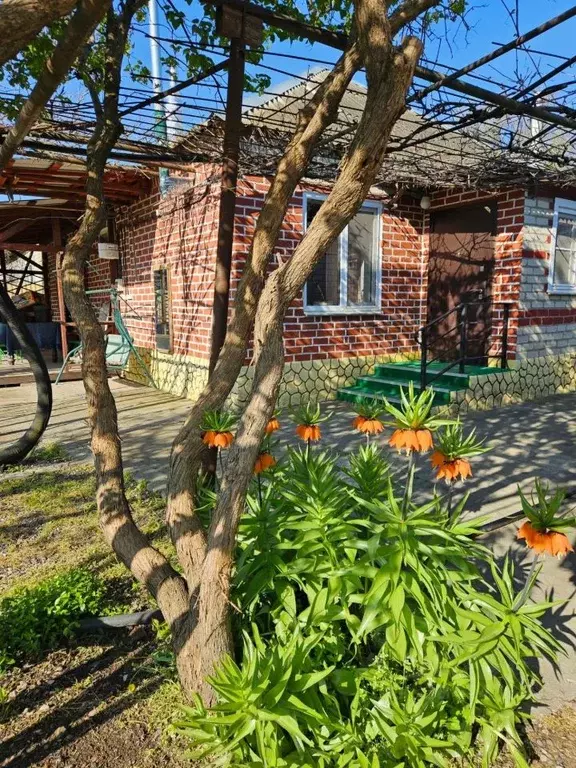 Дом в Ставропольский край, Нефтекумск ул. Беляева, 47 (65 м) - Фото 1