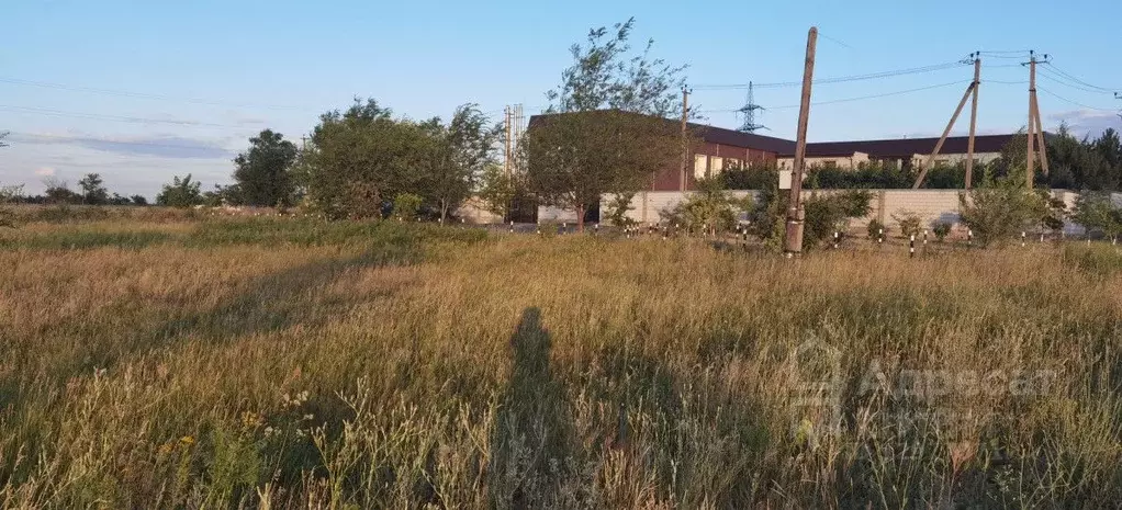 Участок в Волгоградская область, Городищенский район, Царицынское ... - Фото 0