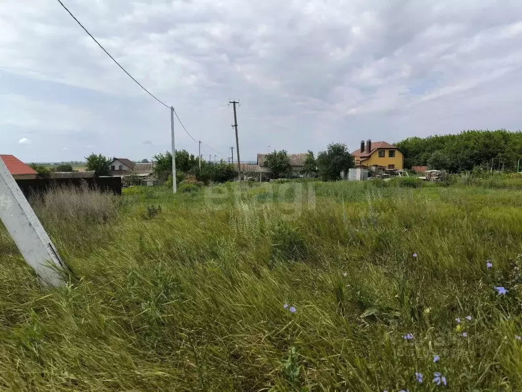 Участок в Белгородская область, Белгородский район, Крутологское ... - Фото 0
