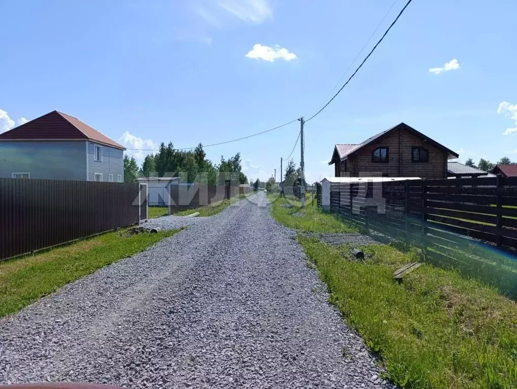 Участок в Новосибирская область, Новосибирский район, Ярковский ... - Фото 0