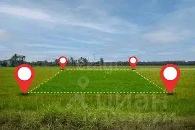 Участок в Ярославская область, Ярославский муниципальный округ, д. ... - Фото 1