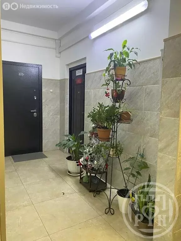 3-комнатная квартира: Сертолово, Кленовая улица, 7 (84 м) - Фото 2