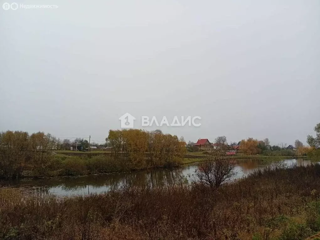 Участок в Суздальский район, муниципальное образование Селецкое, село ... - Фото 1