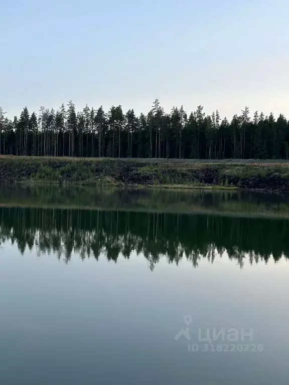 Участок в Ленинградская область, Ломоносовский район, Пениковское ... - Фото 0