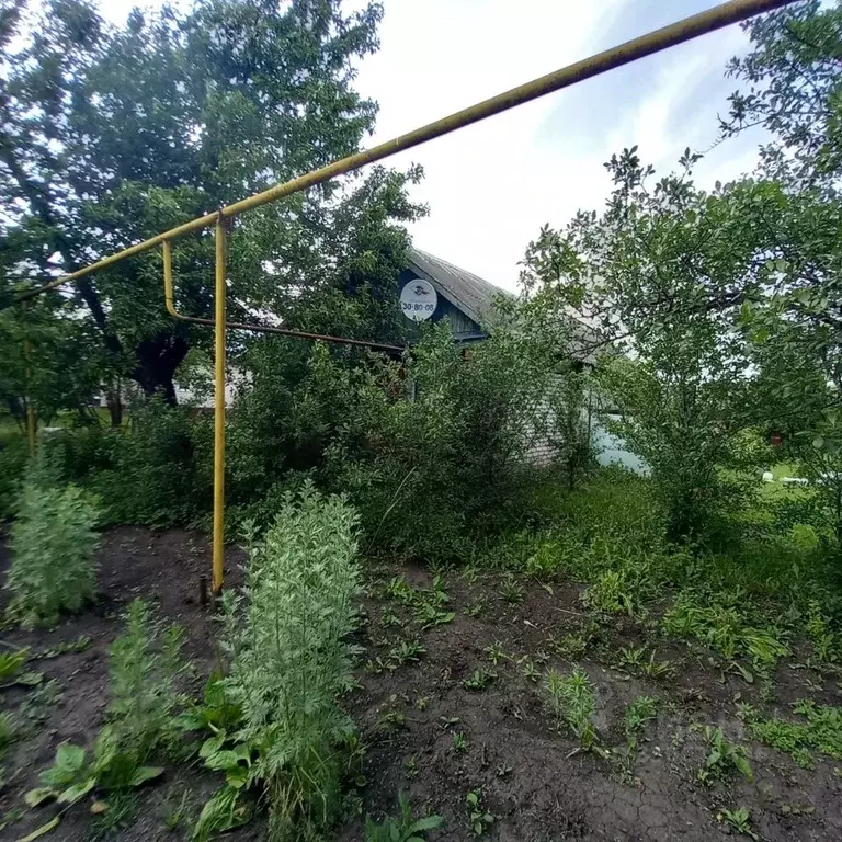 Дом в Мордовия, Кочкуровский район, с. Мурань  (70 м) - Фото 2