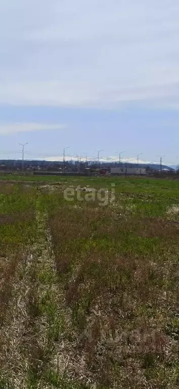 Участок в Адыгея, Майкоп ул. Маршала Василевского (6.0 сот.) - Фото 1