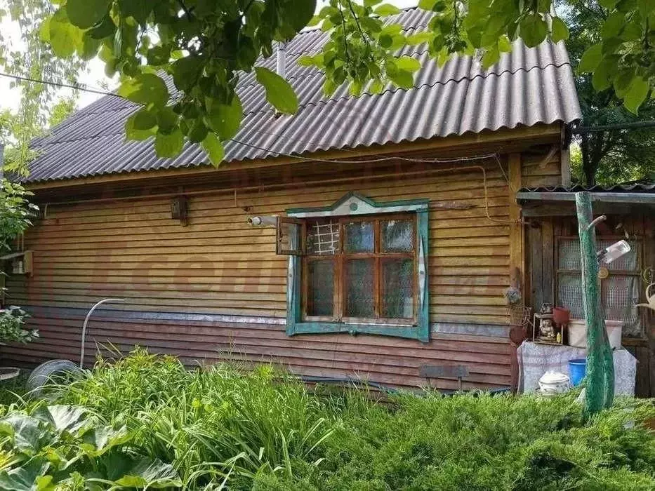 Дом в Курганская область, Кетовский муниципальный округ, д. Лукино  ... - Фото 2