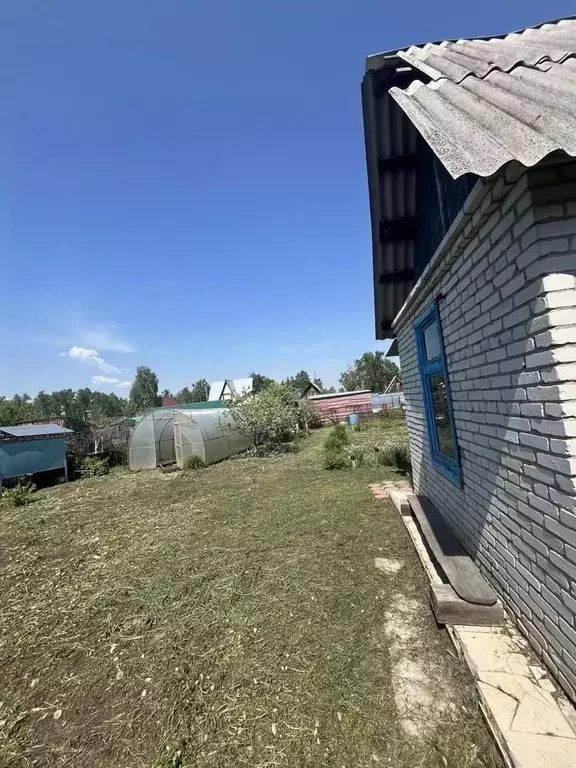 Дом в Курганская область, Курган Мостовик СНТ,  (25 м) - Фото 2