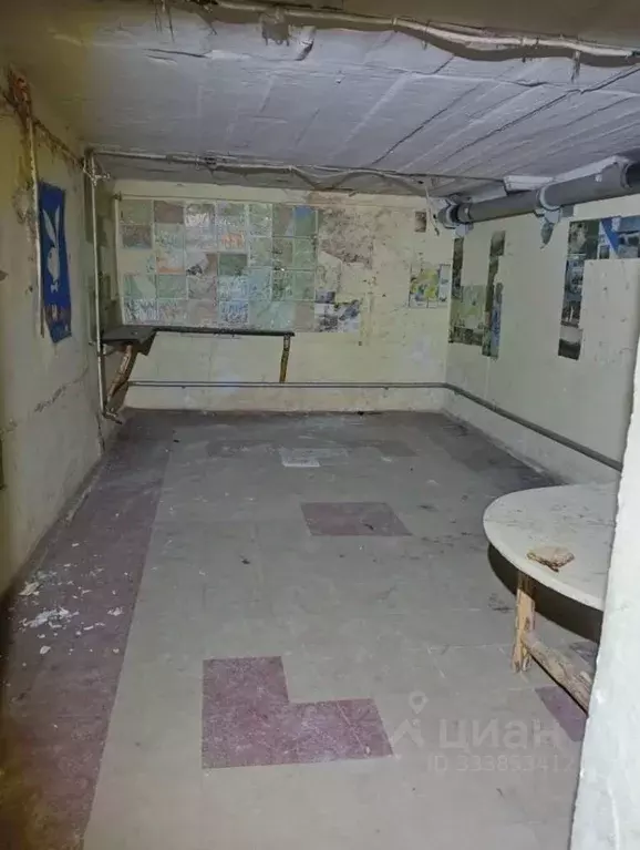 Помещение свободного назначения в Ульяновская область, Димитровград ... - Фото 1
