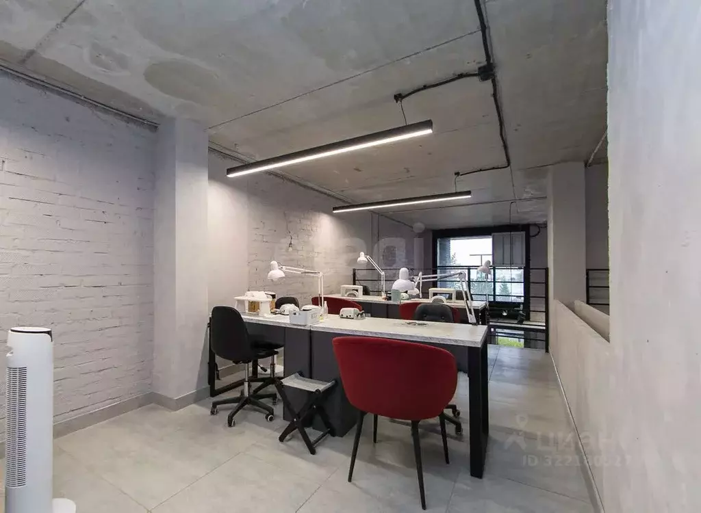 Помещение свободного назначения в Томская область, Томск ул. Пушкина, ... - Фото 2