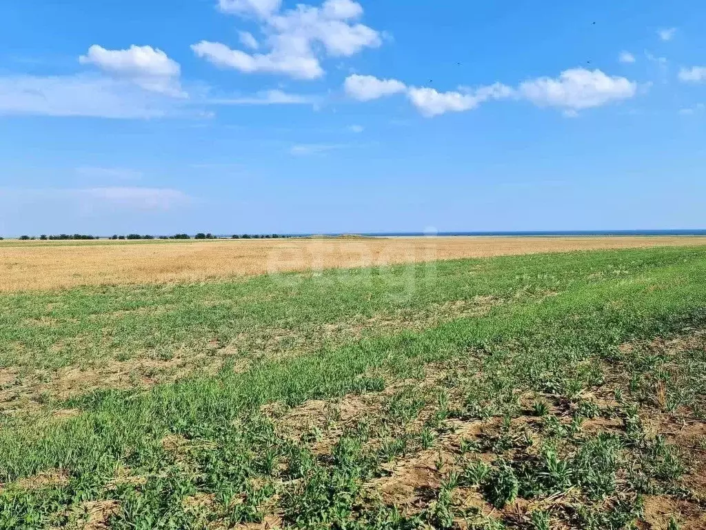 Участок в Крым, Сакский район, с. Веселовка ул. Урожайная (200.0 сот.) - Фото 1