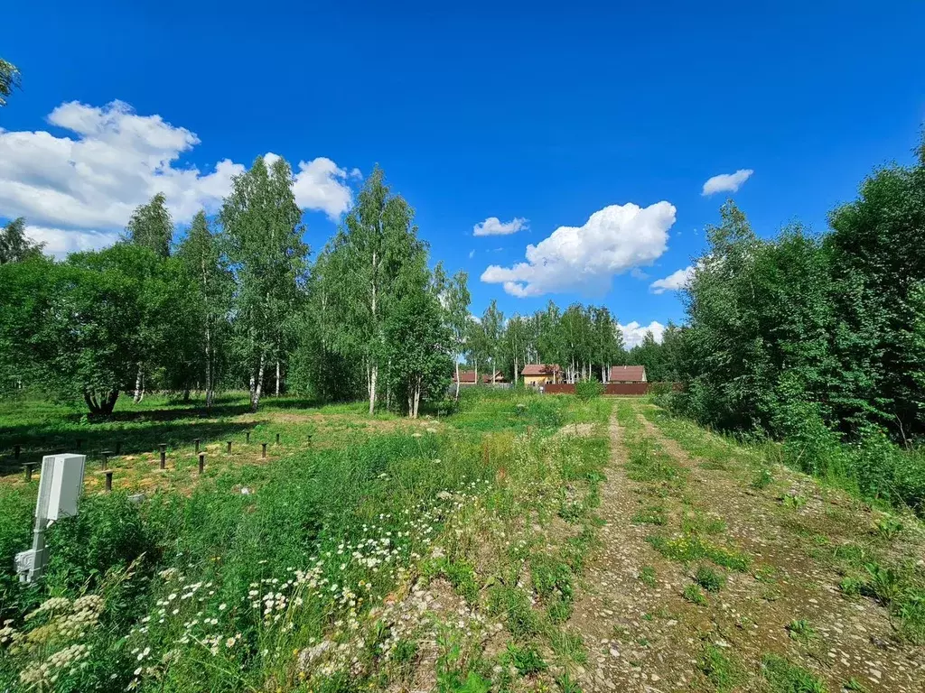 Участок в Ленинградская область, Тосненский район, Любанское городское ... - Фото 0