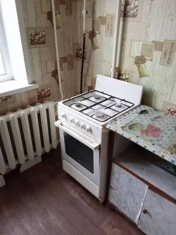 1-к кв. Курганская область, Курган Чернореченская ул., 87 (30.8 м) - Фото 1