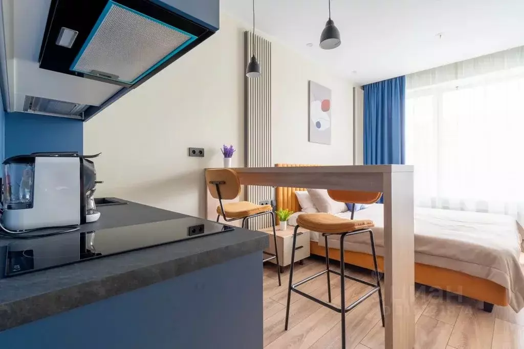 Студия Санкт-Петербург просп. Энергетиков, 8к2 (25.0 м) - Фото 0