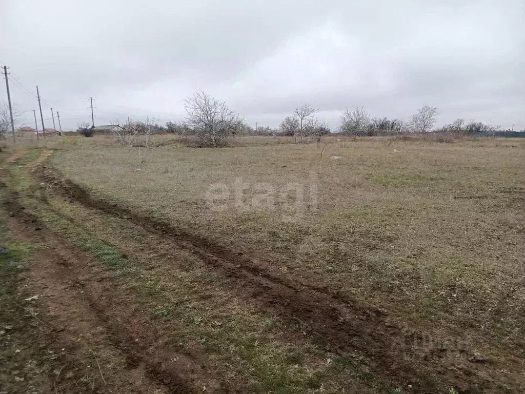 Участок в Крым, Черноморский район, с. Новосельское, Таврия СНТ ул. ... - Фото 1