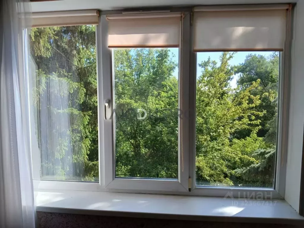 Студия Саратовская область, Саратов Тверская ул., 53 (16.3 м) - Фото 1