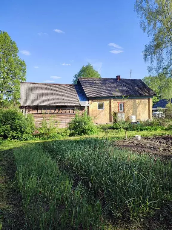 Дом 56 м на участке 50 сот. - Фото 1