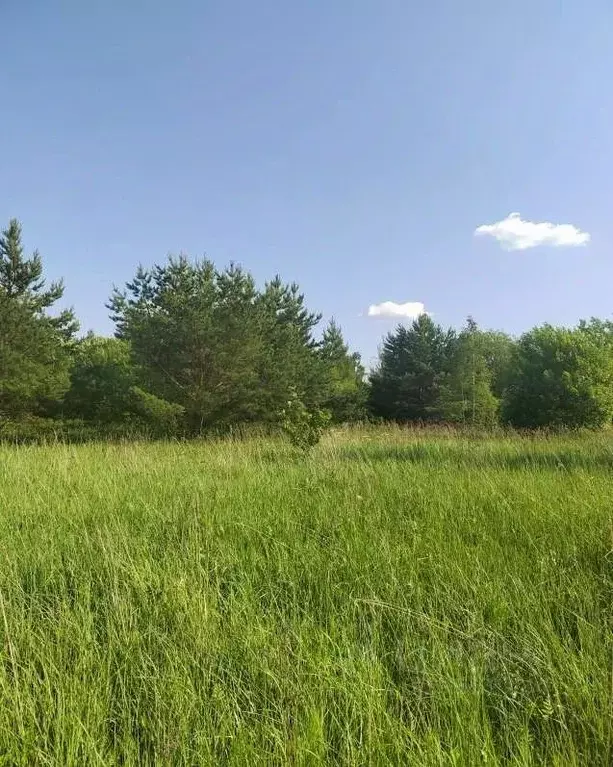 Участок в Московская область, Коломна городской округ, д. Солосцово  ... - Фото 0