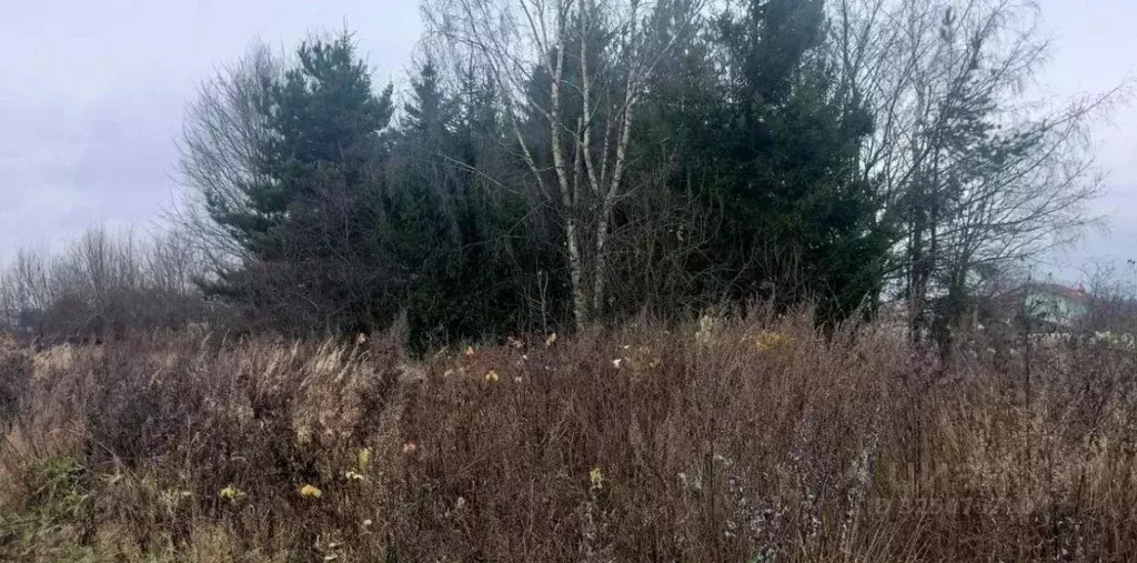 Участок в Московская область, Дмитровский муниципальный округ, д. ... - Фото 1