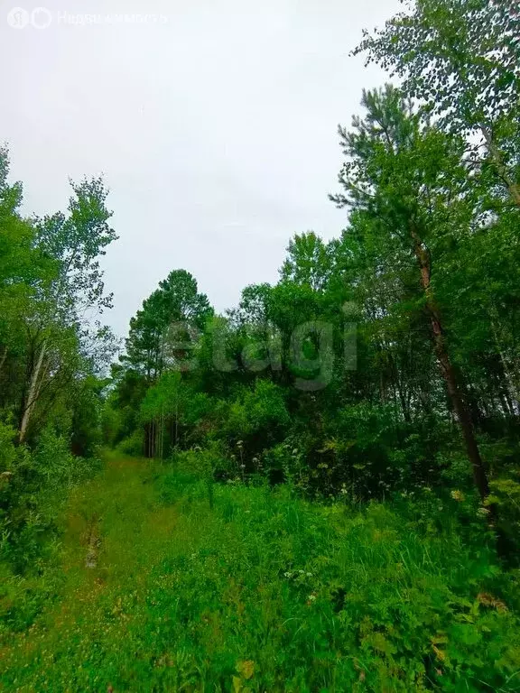 Участок в Тюмень, коттеджный посёлок Тополя (10 м) - Фото 0