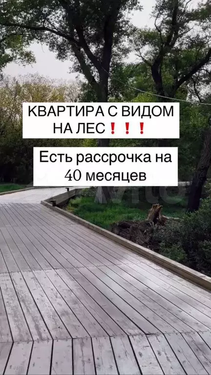 2-к. квартира, 81,4 м, 6/8 эт. - Фото 1