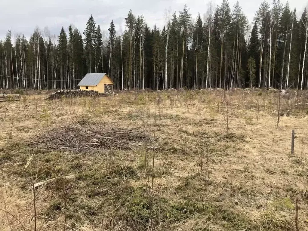 Участок в Коми, Сыктывкар городской округ, Краснозатонский пгт, ... - Фото 1
