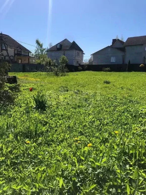 Участок в Москва Язово СНТ, 366с1 (4.0 сот.) - Фото 2