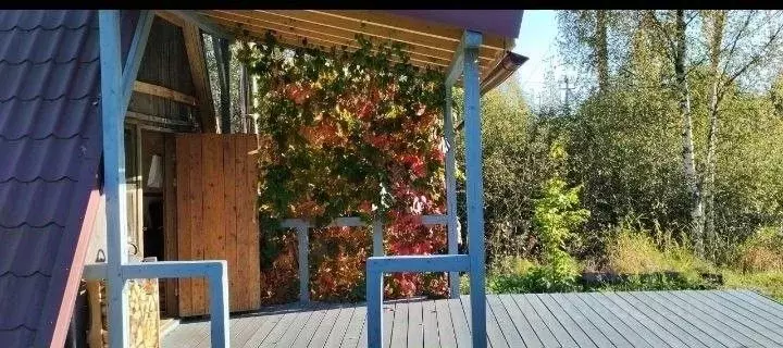 Участок в Новгородская область, Валдайский район, Рощинское с/пос, д. ... - Фото 1