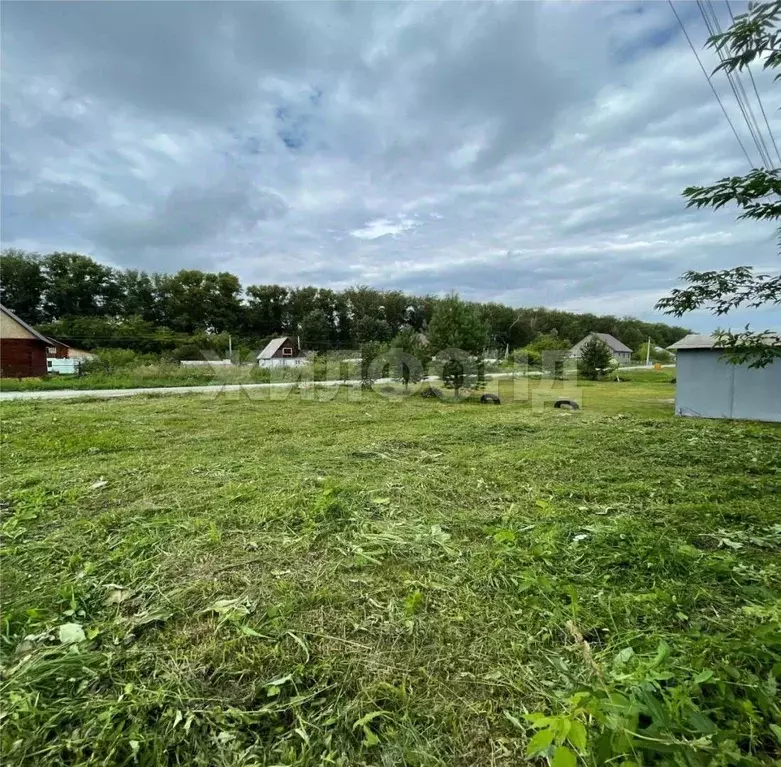 3-к кв. Новосибирская область, Мошковский район, с. Сокур ул. ... - Фото 2