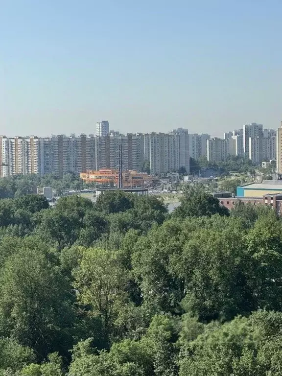 Студия Москва Пятницкое ш., 56Б (23.0 м) - Фото 1