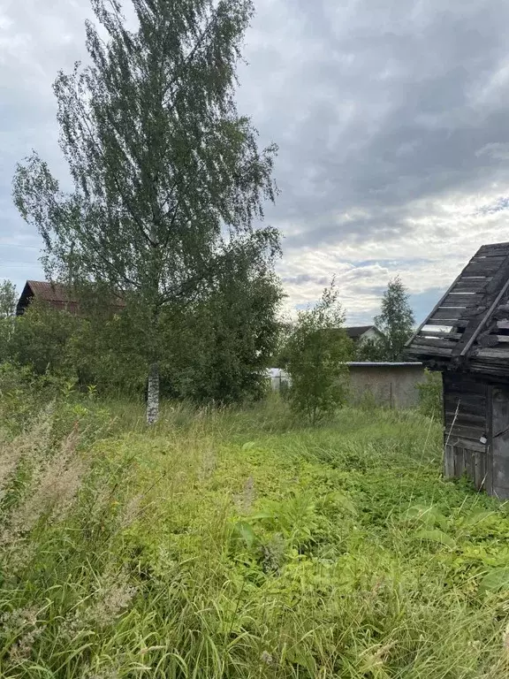 Участок в Ленинградская область, Никольское Тосненский район, Сокол-1 ... - Фото 0