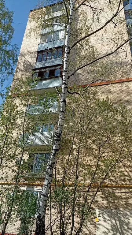 Квартира-студия, 11,7 м, 1/9 эт. - Фото 1