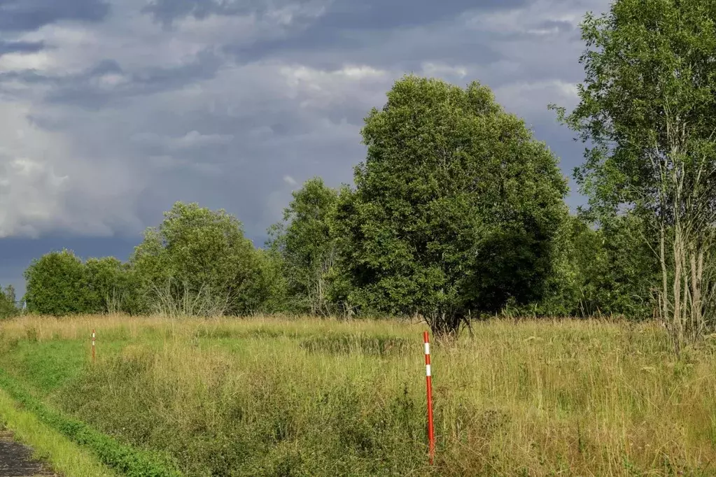 Участок в Ленинградская область, Всеволожский район, Куйвозовское ... - Фото 1