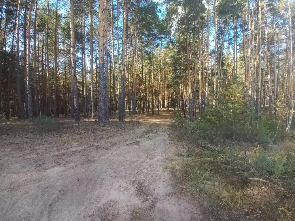 Дом в Марий Эл, Волжск МБК-4 Коноплянка СНТ, 83 (20 м) - Фото 1