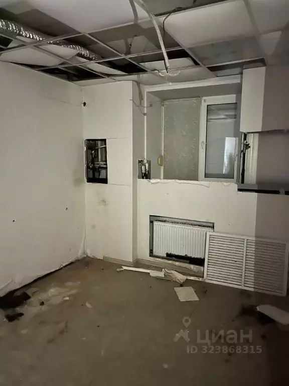 Помещение свободного назначения в Удмуртия, Ижевск ул. 9 Января, 241 ... - Фото 2