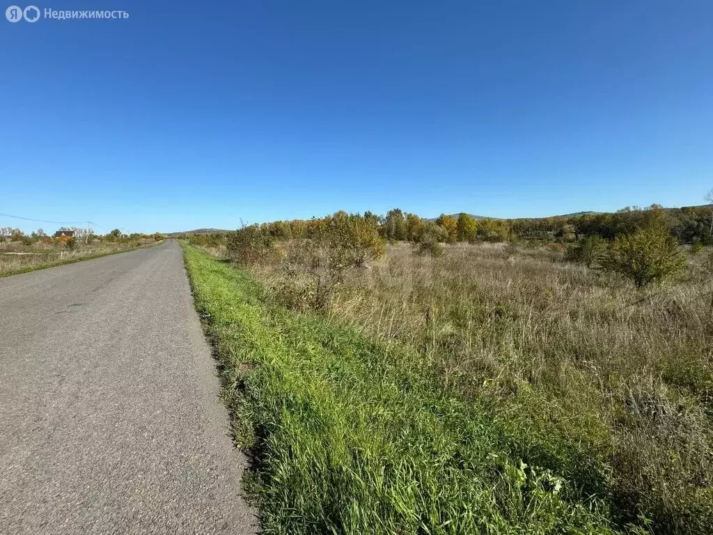 Участок в Алтайский район, Айский сельсовет, село Ая (20 м) - Фото 1